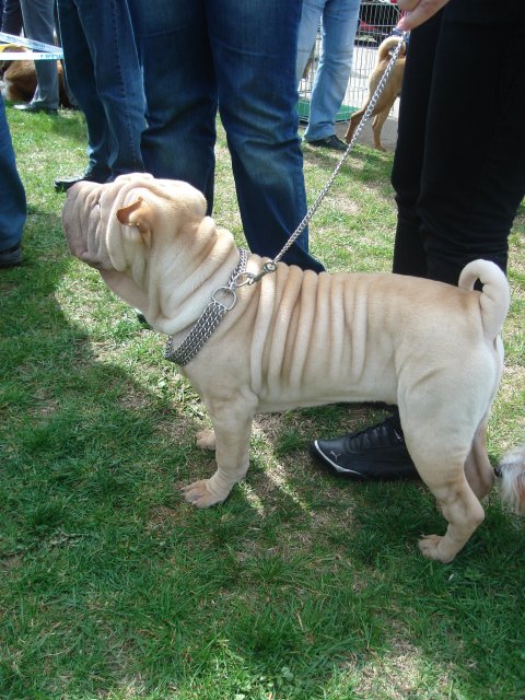 43319-DSC00011.JPG, 1.4 MB