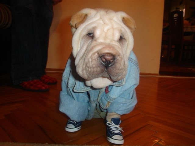 DSC00002[1].JPG, 121 KB